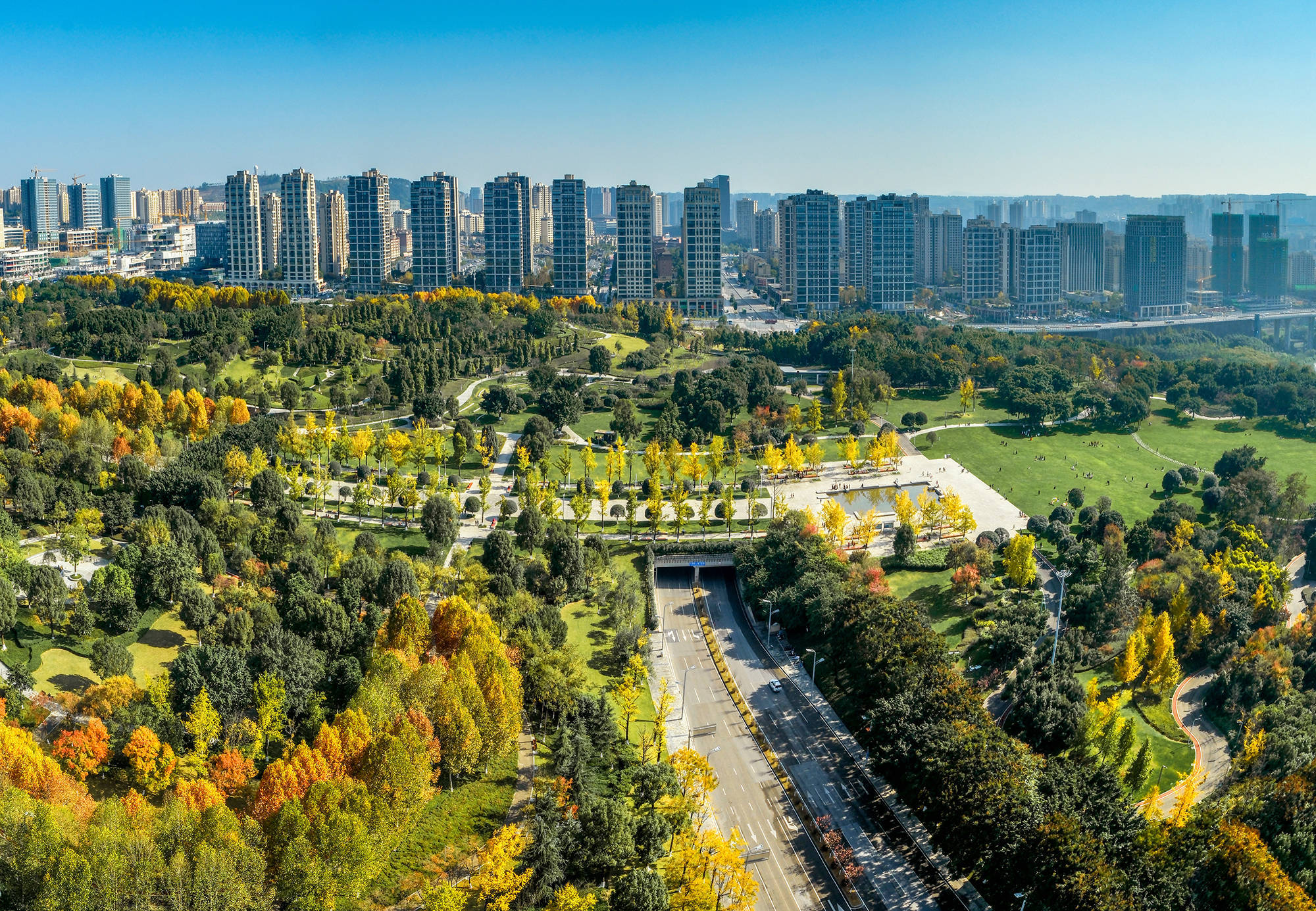 2024影像盘点 | 记录身边的美好 —摄影师 雷亚东