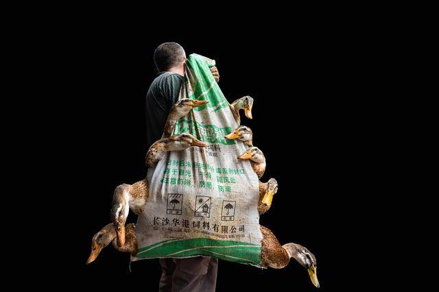 永州市摄影家潘华6幅(组)摄影作品在“北京国际摄影周2024”展出