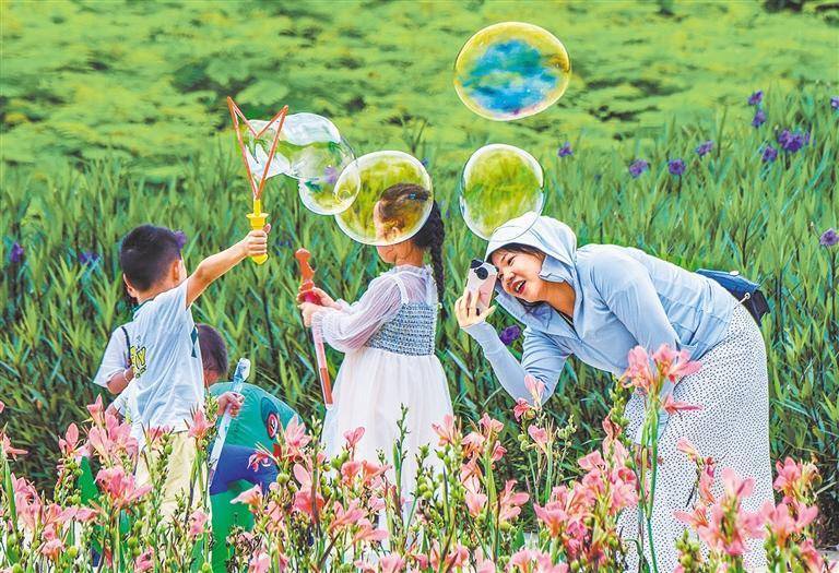 光影之间 照见美好——主题摄影征集活动作品选登（一）
