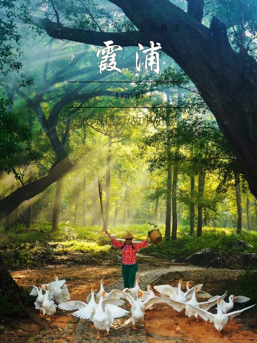 寻找绝佳的拍摄地点