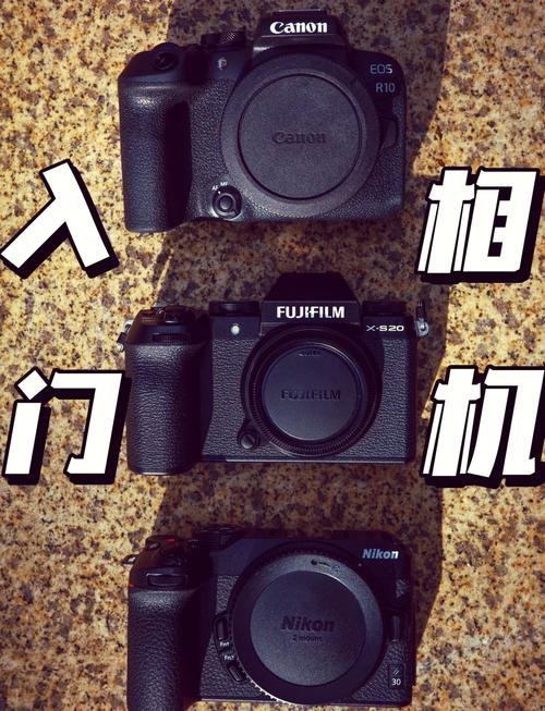 《相机类型大比拼：各有各的 “超能力”》