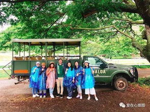 在成都王老师摄影，开启私人摄影培训的奇妙之旅