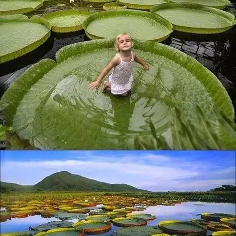 在成都王老师摄影，开启摄影基础培训的奇妙之旅