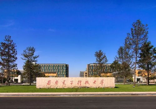 从成都王老师摄影到杭州电子科技大学摄影专业的奇妙之旅