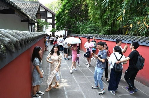 在成都，与王老师摄影来一场美妙的学艺之旅