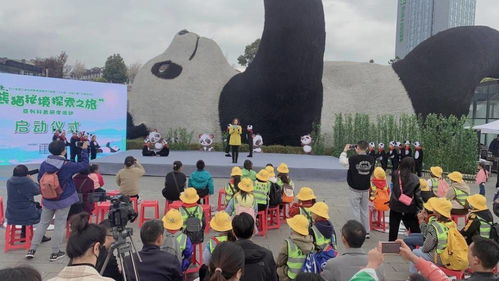 在成都王老师摄影,探寻摄影摄像学习的奇妙之旅 在成都王老师摄影,探寻摄影摄像学习的奇妙之旅
