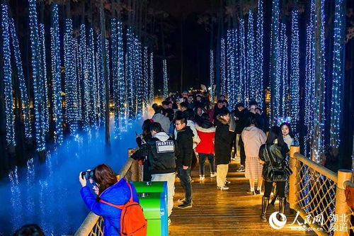 在成都王老师摄影，点亮摄影灯光培训的奇幻之旅