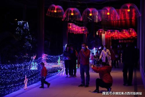 在成都王老师摄影，点亮摄影灯光培训的奇幻之旅