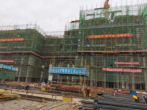 跟着成都王老师摄影，开启我的摄影学习之旅