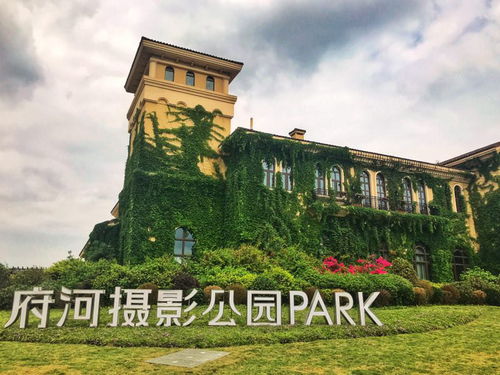 探寻摄影学习圣地，成都王老师摄影是不二之选