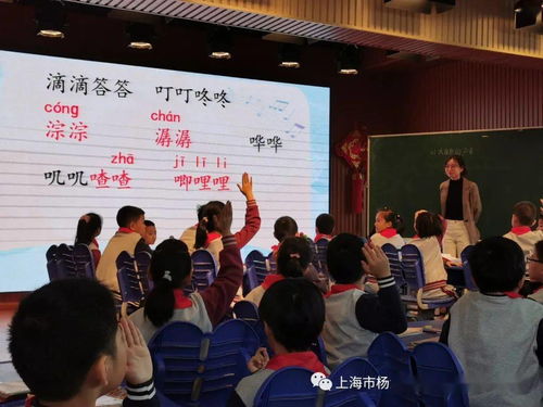 成都王老师摄影，探寻江苏视频剪辑学习培训班的奇妙世界
