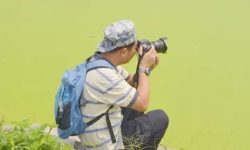 成都王老师摄影，我的奇妙学习之旅总结