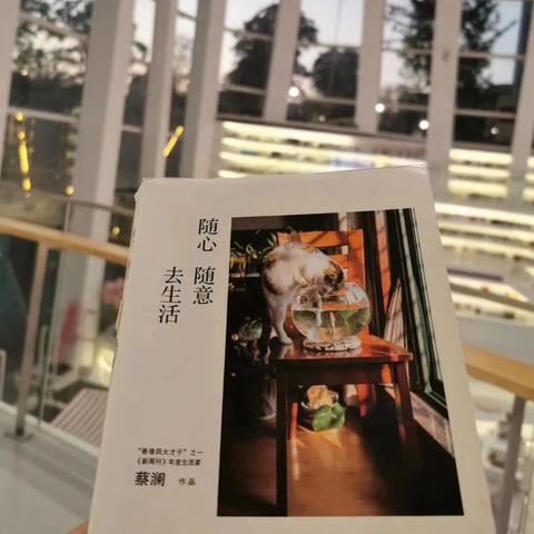探寻上海摄影培训的宝藏之地——成都王老师摄影 探寻上海摄影培训的宝藏之地——成都王老师摄影
