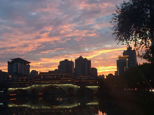 从上海到成都,摄影的魅力之旅——成都王老师摄影的独特魅力 从上海到成都,摄影的魅力之旅——成都王老师摄影的独特魅力