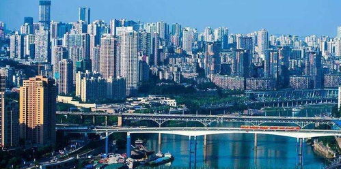 从上海到成都,摄影的魅力之旅——成都王老师摄影的独特魅力 从上海到成都,摄影的魅力之旅——成都王老师摄影的独特魅力