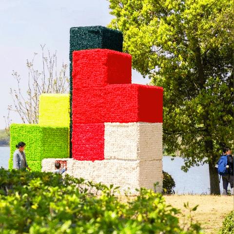 在苏州，与成都王老师摄影一同探索短视频的奇妙世界