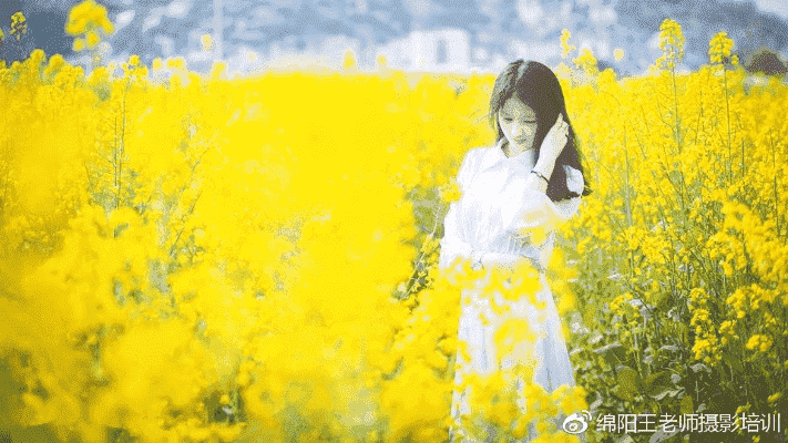 在成都王老师摄影，开启摄影与 PS 的奇妙之旅