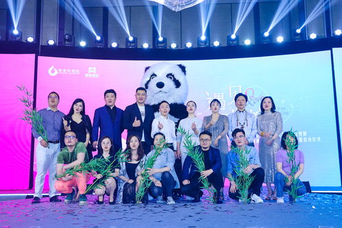 在成都王老师摄影，开启摄影艺考的奇妙之旅