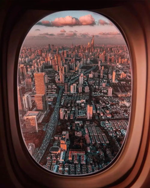 从成都到上海，摄影的魅力之旅——成都王老师摄影与上海专业摄影培训机构的碰撞