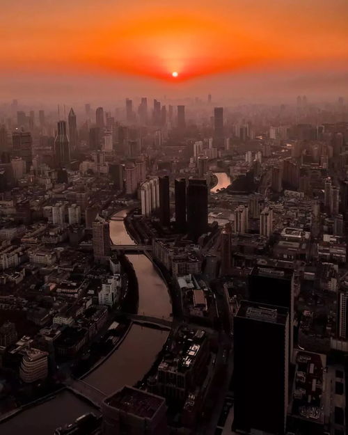 从成都到上海，摄影的魅力之旅——成都王老师摄影与上海专业摄影培训机构的碰撞
