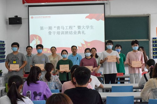 桂林摄影培训班学费大揭秘——成都王老师摄影来帮您