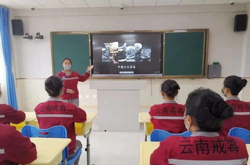在成都王老师摄影开启摄影培训的奇妙之旅