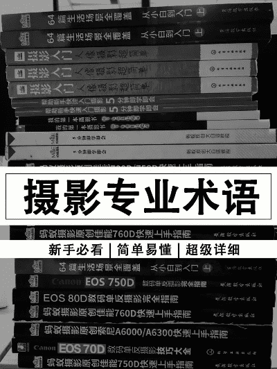 拍照技巧术语有哪些