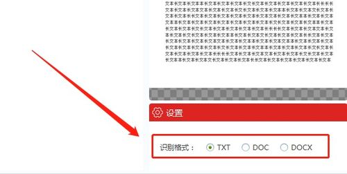 怎么把拍照的文字变成文本形式 怎么把拍照的文字变成文本形式