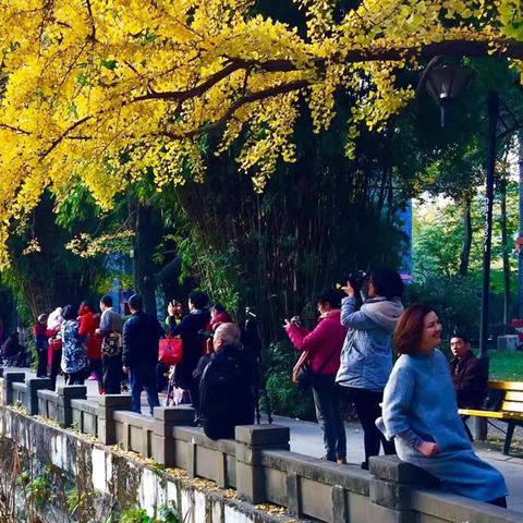 跟着成都王老师摄影，开启出国留学摄影学习之旅
