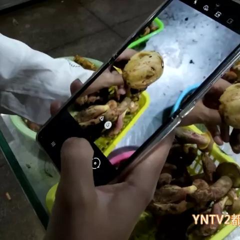 现在最好用的拍照软件是哪种? 现在最好用的拍照软件是哪种?