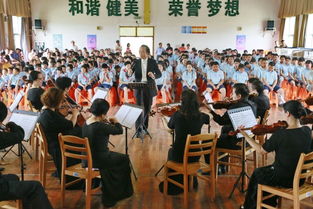成都王老师摄影，开启上海专业摄影培训的奇妙之旅