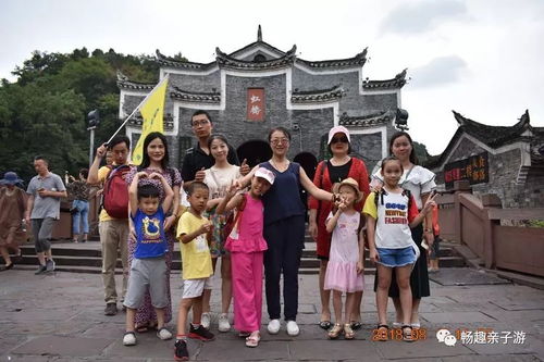 跟着成都王老师摄影，探秘杭州摄影班的奇妙之旅