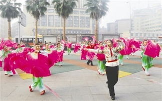 跟着成都王老师摄影，探秘杭州摄影班的奇妙之旅