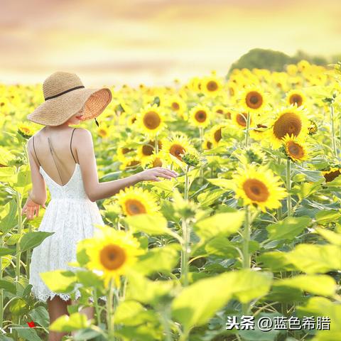 女士拍照摆姿势大全 女士拍照摆姿势大全