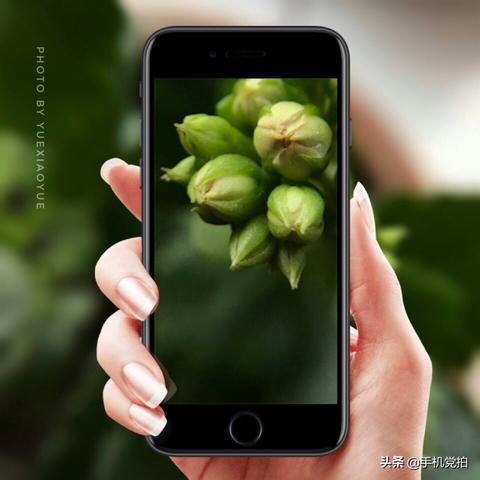 拍照怎么调模糊