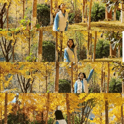 银杏叶拍照姿势大全图片