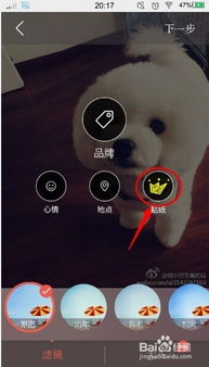 拍照神器软件哪个好一点
