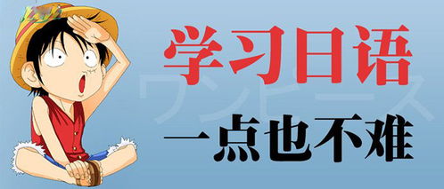 成都王老师摄影，从成都到上海，摄影培训的奇妙之旅