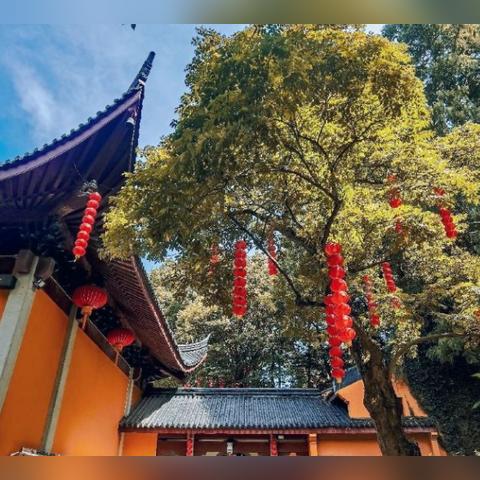 网红拍照用的什么相机啊 网红拍照用的什么相机啊