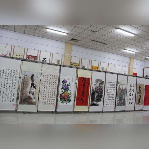 跟着成都王老师摄影，探秘上海老年摄影培训班的奇妙世界