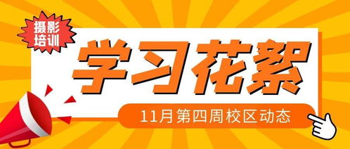跟成都王老师摄影学短视频培训，开启影像新视界！