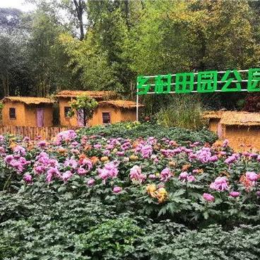 跟着成都王老师摄影，开启相机拍照学习的奇妙之旅
