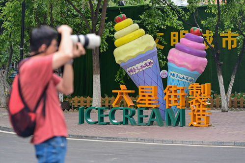 在成都王老师摄影，邂逅上海摄影培训周末班的奇妙之旅