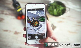 手机拍照诀窍 手机拍照诀窍