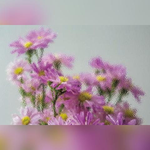 在成都王老师摄影，开启摄影专业学习的奇妙之旅