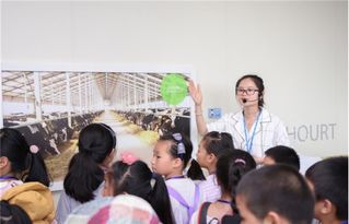跟着成都王老师摄影,开启摄影学习奇妙之旅 跟着成都王老师摄影,开启摄影学习奇妙之旅