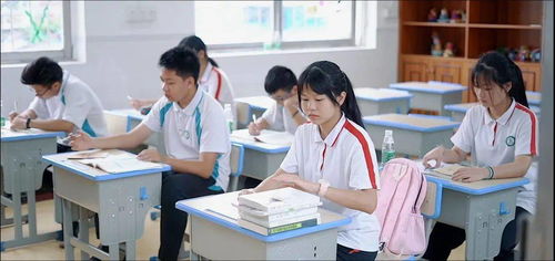 来成都王老师摄影青少年培训班，开启摄影奇妙之旅