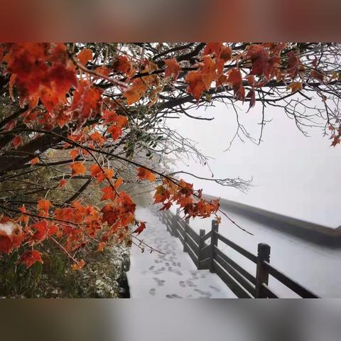 在成都王老师摄影遇见巴中摄影培训班的奇妙之旅