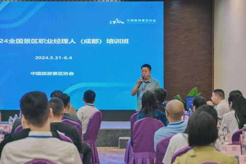 成都王老师摄影，开启视频培训实施方案的奇妙之旅