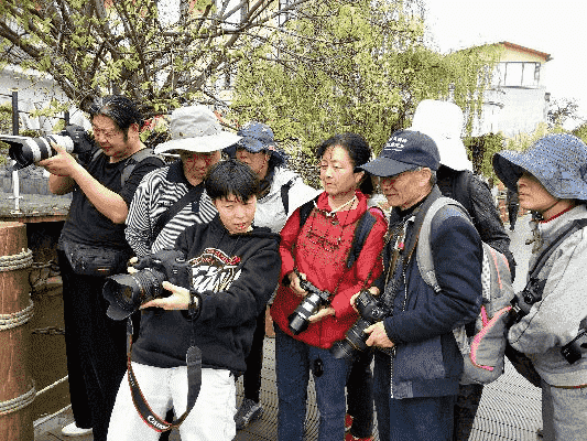 跟着成都王老师摄影，开启摄影学习奇妙之旅